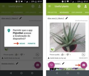 App para descobrir nomes de plantas
